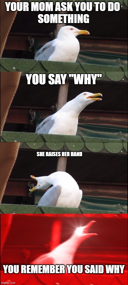 Inhaling Seagull | YOUR MOM ASK YOU TO DO 
SOMETHING; YOU SAY "WHY"; SHE RAISES HER HAND; YOU REMEMBER YOU SAID WHY | image tagged in memes,inhaling seagull | made w/ Imgflip meme maker