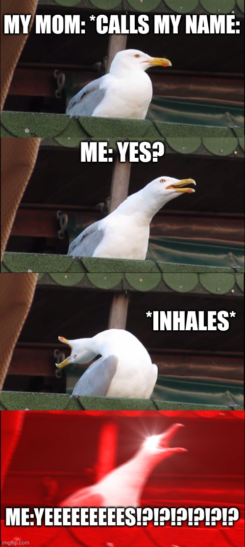 Inhaling Seagull | MY MOM: *CALLS MY NAME:; ME: YES? *INHALES*; ME:YEEEEEEEEES!?!?!?!?!?!? | image tagged in memes,inhaling seagull | made w/ Imgflip meme maker