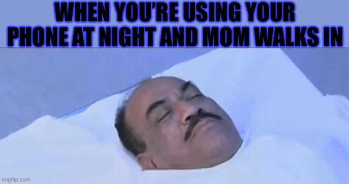 Lul- | WHEN YOU’RE USING YOUR PHONE AT NIGHT AND MOM WALKS IN | image tagged in dead | made w/ Imgflip meme maker