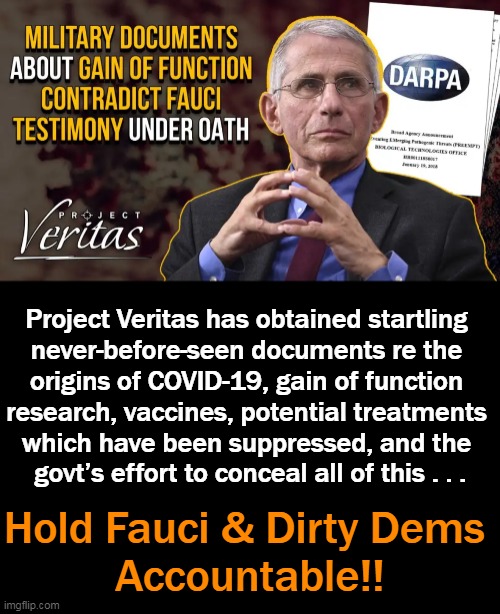 James O’Keefe: “Who at DARPA made the decision to bury the original report...which may have prevented this entire pandemic?" | Project Veritas has obtained startling 
never-before-seen documents re the 
origins of COVID-19, gain of function 
research, vaccines, potential treatments 
which have been suppressed, and the 
govt’s effort to conceal all of this . . . Hold Fauci & Dirty Dems 
Accountable!! | image tagged in politics,dr fauci,democrats,plandemic,project veritas,covid truth | made w/ Imgflip meme maker
