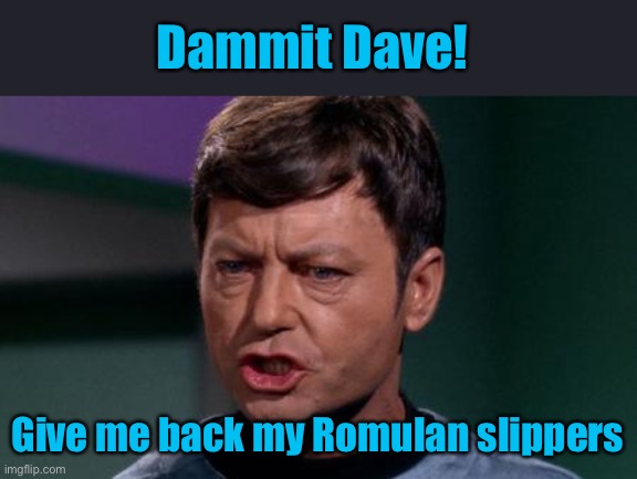 Dammit Jim | Dammit Dave! Give me back my Romulan slippers | image tagged in dammit jim | made w/ Imgflip meme maker