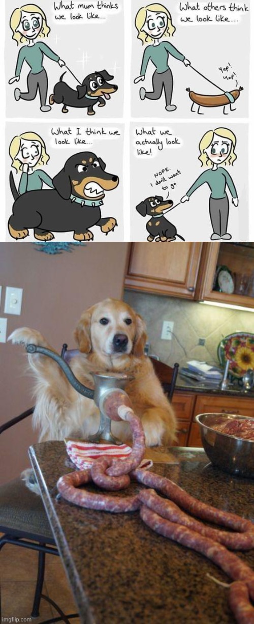 Dog sausage | image tagged in dog sausages,sausage,dog,comics/cartoons,comics,memes | made w/ Imgflip meme maker