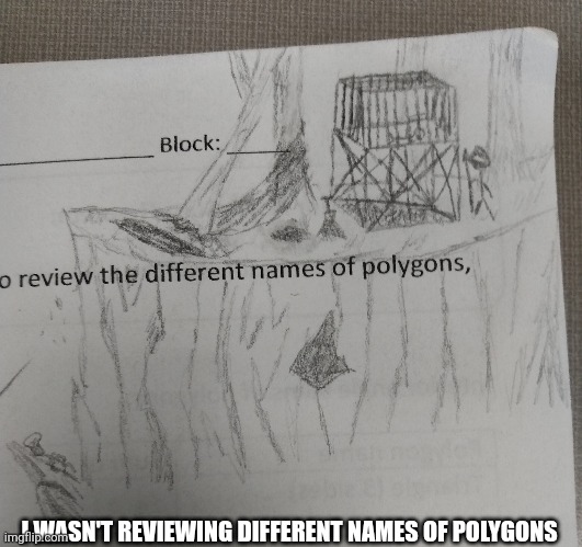 how trapped i feel  in my geometry class | I WASN'T REVIEWING DIFFERENT NAMES OF POLYGONS | image tagged in drawing,cliff,cage | made w/ Imgflip meme maker