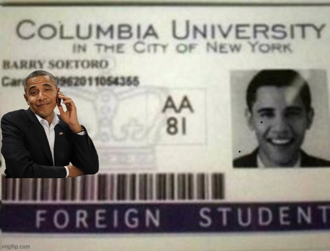 HAWAII birth certificates aren't worth the paper they are wrote on.. | image tagged in voter fraud | made w/ Imgflip meme maker