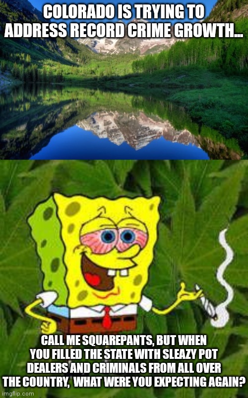 Colorado's plan to become Calirado is going well. How do you like that crime? | COLORADO IS TRYING TO ADDRESS RECORD CRIME GROWTH... CALL ME SQUAREPANTS, BUT WHEN YOU FILLED THE STATE WITH SLEAZY POT DEALERS AND CRIMINALS FROM ALL OVER THE COUNTRY,  WHAT WERE YOU EXPECTING AGAIN? | image tagged in colorado mountains,weed,liberal logic,crime,bad news | made w/ Imgflip meme maker