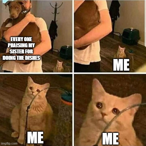 Sad Cat Holding Dog |  EVERY ONE PRAISING MY SISTER FOR DOING THE DISHES; ME; ME; ME | image tagged in sad cat holding dog | made w/ Imgflip meme maker