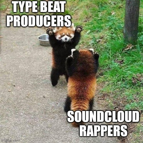 Type Beat Producers & SoundCloud Rappers |  TYPE BEAT PRODUCERS; SOUNDCLOUD RAPPERS | image tagged in eyyyy,producer,rapper,soundcloud,beat,type beat | made w/ Imgflip meme maker