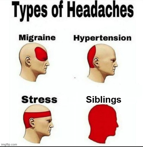 Siblings are the worst kind of headache |  Siblings | image tagged in types of headaches meme | made w/ Imgflip meme maker