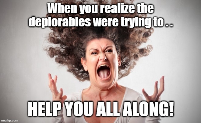 Deplorables Helping You | When you realize the deplorables were trying to . . HELP YOU ALL ALONG! | image tagged in freak out,stupid liberals,covid-19,deplorables,liberal vs conservative | made w/ Imgflip meme maker