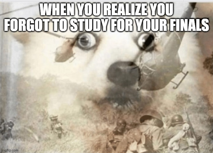 DUDUD | WHEN YOU REALIZE YOU FORGOT TO STUDY FOR YOUR FINALS | image tagged in ptsd dog | made w/ Imgflip meme maker
