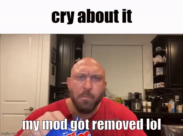 Cry About It | my mod got removed lol | image tagged in cry about it | made w/ Imgflip meme maker