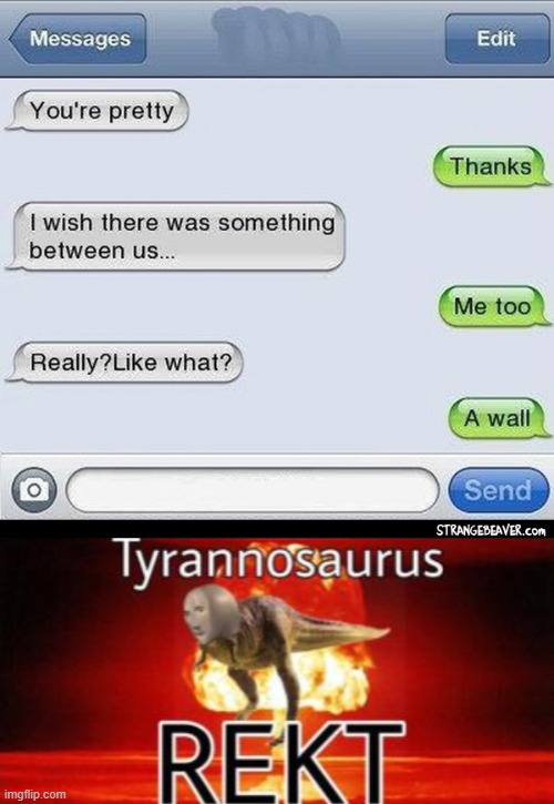 lmao | image tagged in tyrannosaurus rekt | made w/ Imgflip meme maker