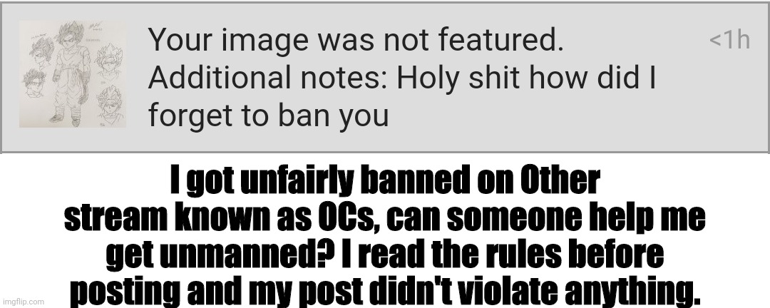 Thx | I got unfairly banned on Other stream known as OCs, can someone help me get unmanned? I read the rules before posting and my post didn't violate anything. | made w/ Imgflip meme maker