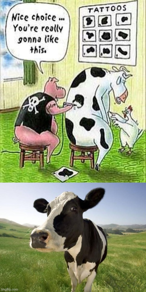 Cow being tattooed | image tagged in cow,tattoos,comics/cartoons,comics,comic,memes | made w/ Imgflip meme maker