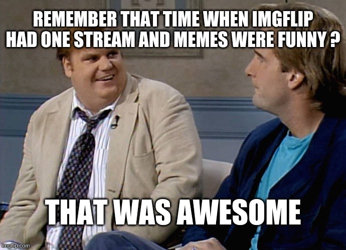 Remember that time |  REMEMBER THAT TIME WHEN IMGFLIP HAD ONE STREAM AND MEMES WERE FUNNY ? THAT WAS AWESOME | image tagged in remember that time,meanwhile on imgflip,awesome,memories,what the hell happened here,what year is it | made w/ Imgflip meme maker