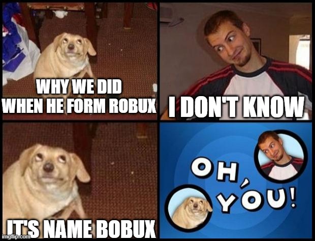 Robux name just call a bobux | WHY WE DID WHEN HE FORM ROBUX; I DON'T KNOW; IT'S NAME BOBUX | image tagged in oh you,memes | made w/ Imgflip meme maker