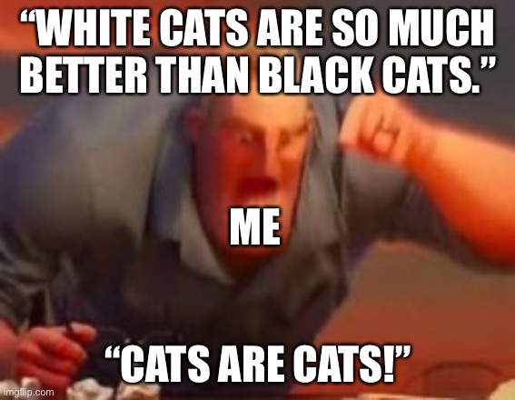 Yes | “WHITE CATS ARE SO MUCH BETTER THAN BLACK CATS.”; ME; “CATS ARE CATS!” | image tagged in mr incredible mad | made w/ Imgflip meme maker