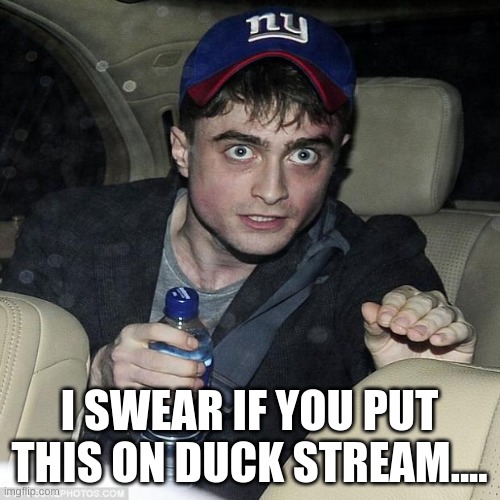 I swear... it's not what it looks like | I SWEAR IF YOU PUT THIS ON DUCK STREAM.... | image tagged in i swear it's not what it looks like | made w/ Imgflip meme maker