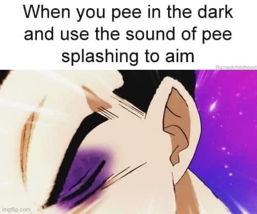 Pee in the dark | image tagged in pee in the dark | made w/ Imgflip meme maker