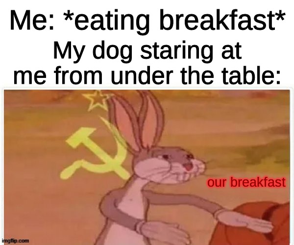mm communism | Me: *eating breakfast*; My dog staring at me from under the table:; our breakfast | image tagged in communist bugs bunny,dogs,doggo,communism,breakfast | made w/ Imgflip meme maker