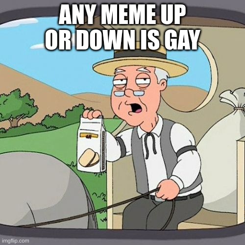 Up or down | ANY MEME UP OR DOWN IS GAY | image tagged in memes,pepperidge farm remembers | made w/ Imgflip meme maker