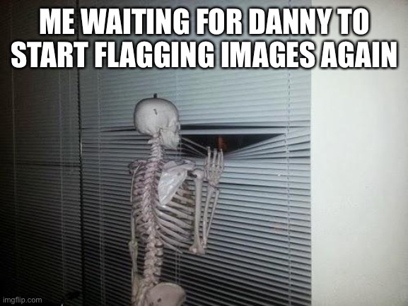 Waiting Skeleton | ME WAITING FOR DANNY TO START FLAGGING IMAGES AGAIN | image tagged in waiting skeleton | made w/ Imgflip meme maker