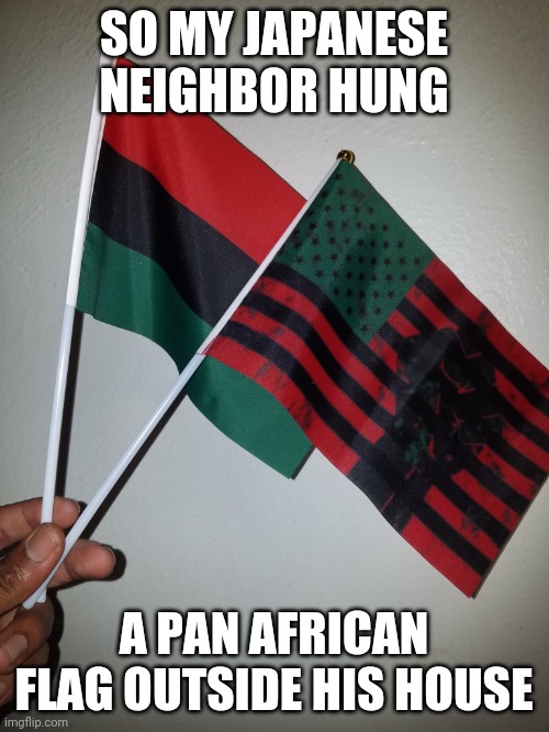 so my Japanese neighbor hung a pan African flag outside his house | SO MY JAPANESE NEIGHBOR HUNG; A PAN AFRICAN FLAG OUTSIDE HIS HOUSE | image tagged in japanese pan african flag,black privilege meme | made w/ Imgflip meme maker