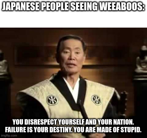 You are made of stupid. | JAPANESE PEOPLE SEEING WEEABOOS:; YOU DISRESPECT YOURSELF AND YOUR NATION.
FAILURE IS YOUR DESTINY. YOU ARE MADE OF STUPID. | image tagged in you are made of stupid | made w/ Imgflip meme maker