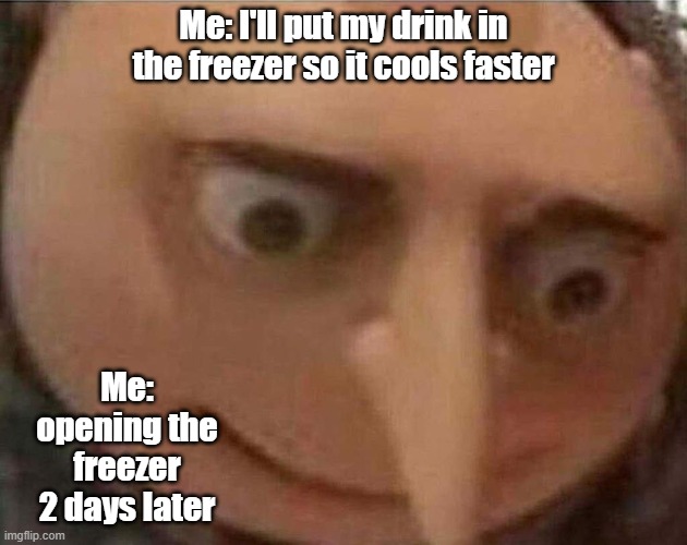 gru meme | Me: I'll put my drink in the freezer so it cools faster; Me: opening the freezer 2 days later | image tagged in gru meme | made w/ Imgflip meme maker