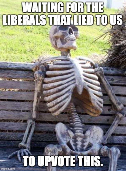 Waiting Skeleton Meme | WAITING FOR THE LIBERALS THAT LIED TO US TO UPVOTE THIS. | image tagged in memes,waiting skeleton | made w/ Imgflip meme maker