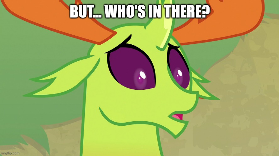 Confused Thorax (MLP) | BUT... WHO'S IN THERE? | image tagged in confused thorax mlp | made w/ Imgflip meme maker