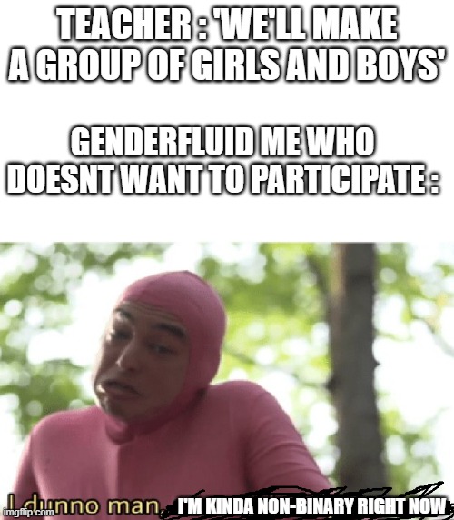 TEACHER : 'WE'LL MAKE A GROUP OF GIRLS AND BOYS'; GENDERFLUID ME WHO DOESNT WANT TO PARTICIPATE :; I'M KINDA NON-BINARY RIGHT NOW | image tagged in i dunno man seems kinda gay to me,teacher,school,genderfluid,groups,boy anf girl | made w/ Imgflip meme maker