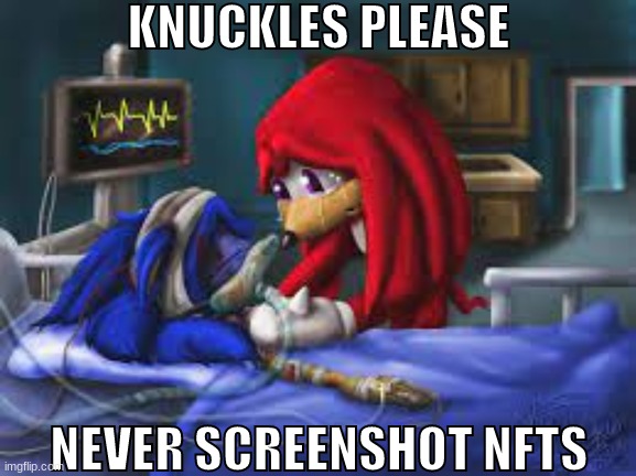 KNUCKLES PLEASE; NEVER SCREENSHOT NFTS | made w/ Imgflip meme maker
