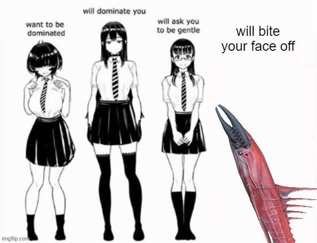 oMg wHIch are YOu!!9!!8(50 | will bite your face off | made w/ Imgflip meme maker