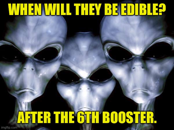 grey aliens | WHEN WILL THEY BE EDIBLE? AFTER THE 6TH BOOSTER. | image tagged in grey aliens | made w/ Imgflip meme maker