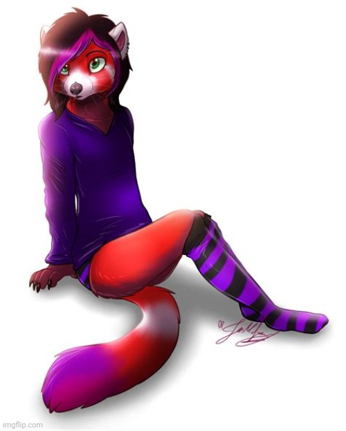 Femboy furry so cute! | image tagged in femboy,socks | made w/ Imgflip meme maker