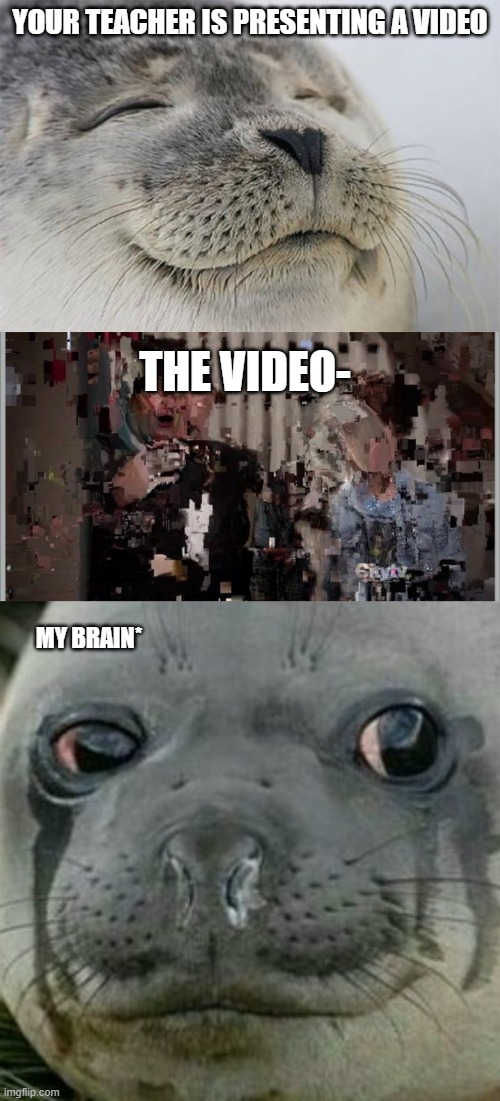 YOUR TEACHER IS PRESENTING A VIDEO; THE VIDEO-; MY BRAIN* | image tagged in memes,satisfied seal,laggy video | made w/ Imgflip meme maker