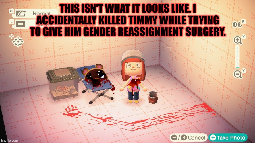 Animal crossing problems | THIS ISN'T WHAT IT LOOKS LIKE. I ACCIDENTALLY KILLED TIMMY WHILE TRYING TO GIVE HIM GENDER REASSIGNMENT SURGERY. | image tagged in animal crossing,problems,timmy,gender reassignment surgery,blood and guts | made w/ Imgflip meme maker