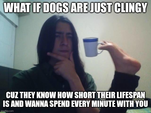Thinking guy cup foot | WHAT IF DOGS ARE JUST CLINGY; CUZ THEY KNOW HOW SHORT THEIR LIFESPAN IS AND WANNA SPEND EVERY MINUTE WITH YOU | image tagged in thinking guy cup foot | made w/ Imgflip meme maker