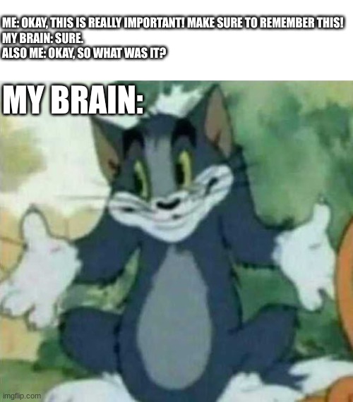 Lol | ME: OKAY, THIS IS REALLY IMPORTANT! MAKE SURE TO REMEMBER THIS!
MY BRAIN: SURE.
ALSO ME: OKAY, SO WHAT WAS IT? MY BRAIN: | image tagged in tom i dont know meme | made w/ Imgflip meme maker