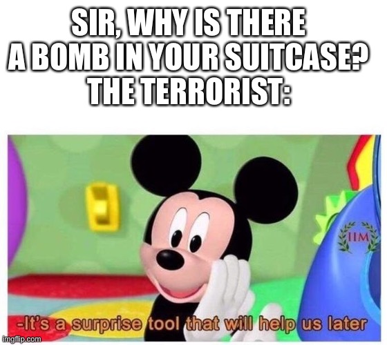 Kind of dark | SIR, WHY IS THERE A BOMB IN YOUR SUITCASE?
THE TERRORIST: | image tagged in it's a surprise tool that will help us later | made w/ Imgflip meme maker