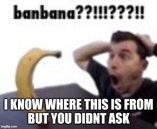 banbana??!!!???!! | I KNOW WHERE THIS IS FROM
BUT YOU DIDNT ASK | image tagged in banbana | made w/ Imgflip meme maker