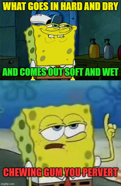 I had you in the first half, don't lie! | WHAT GOES IN HARD AND DRY; AND COMES OUT SOFT AND WET; CHEWING GUM YOU PERVERT | image tagged in memes,don't you squidward,i'll have you know spongebob | made w/ Imgflip meme maker