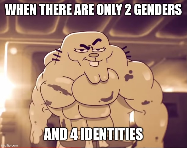 Male Female Non-Binary and Agender | WHEN THERE ARE ONLY 2 GENDERS; AND 4 IDENTITIES | image tagged in buff richard | made w/ Imgflip meme maker