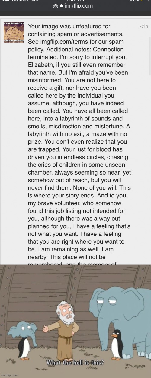 Mod abuse | image tagged in what the hell is this | made w/ Imgflip meme maker