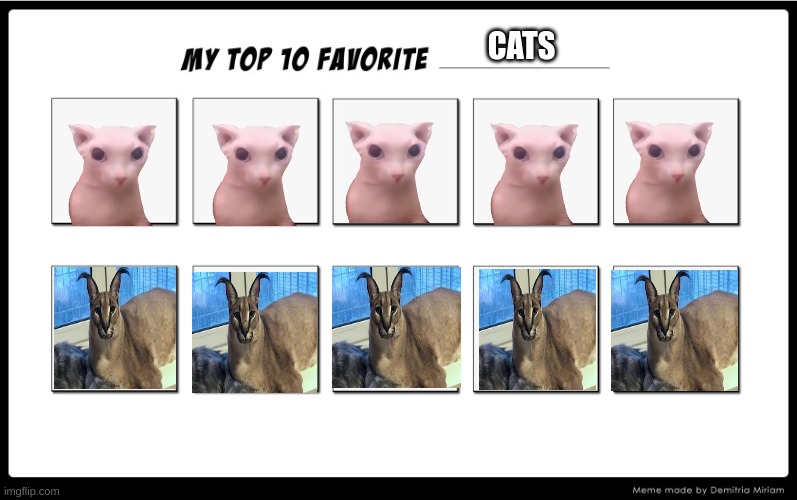 My top 10 | CATS | made w/ Imgflip meme maker