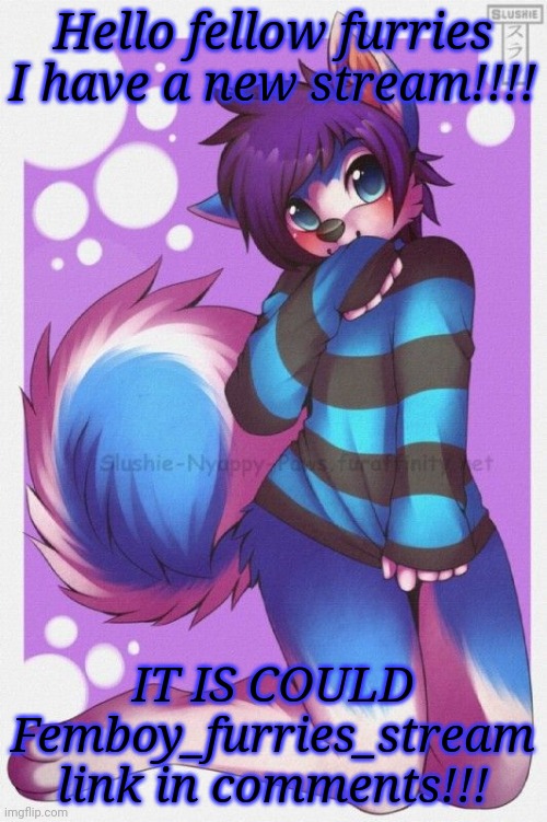 Please follow and post in it | Hello fellow furries I have a new stream!!!! IT IS COULD Femboy_furries_stream link in comments!!! | image tagged in femboy furry | made w/ Imgflip meme maker