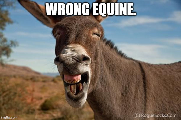 Donkey Jackass Braying | WRONG EQUINE. | image tagged in donkey jackass braying | made w/ Imgflip meme maker