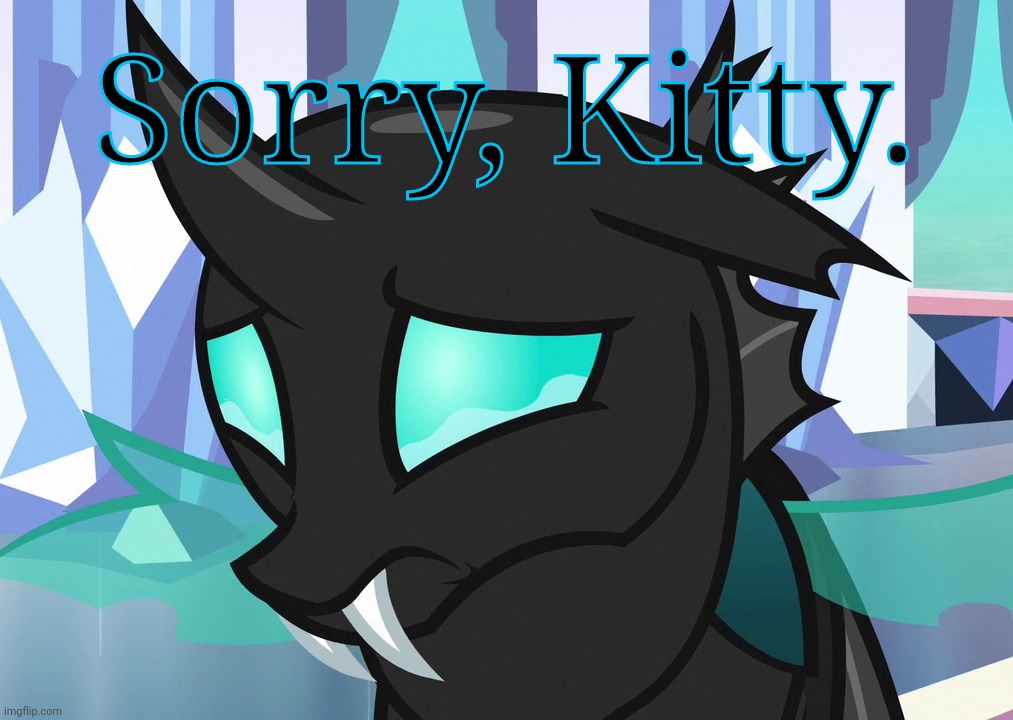 Sad Thorax (MLP) | Sorry, Kitty. | image tagged in sad thorax mlp | made w/ Imgflip meme maker