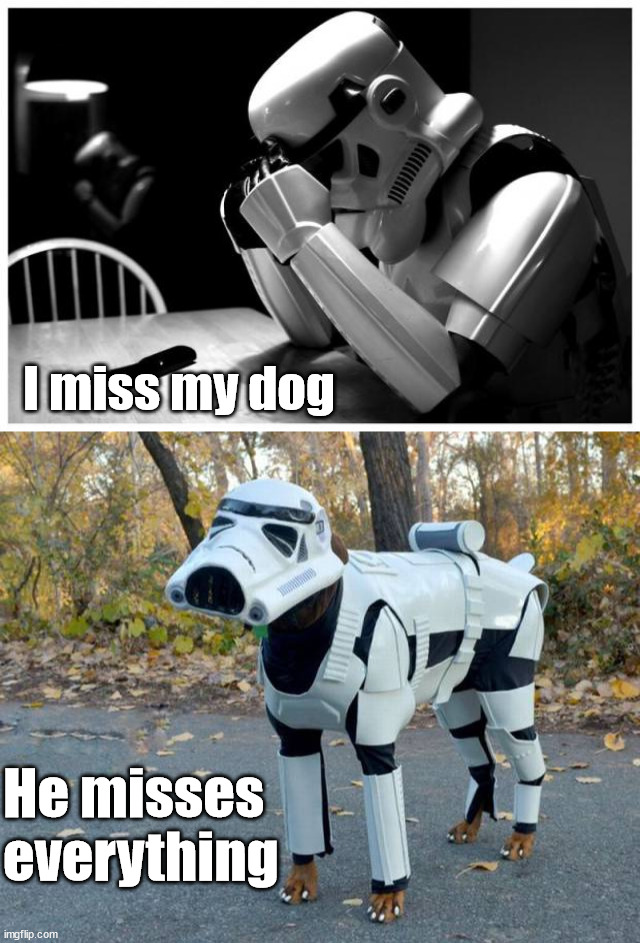 I miss my dog; He misses everything | image tagged in sad storm trooper,star wars | made w/ Imgflip meme maker